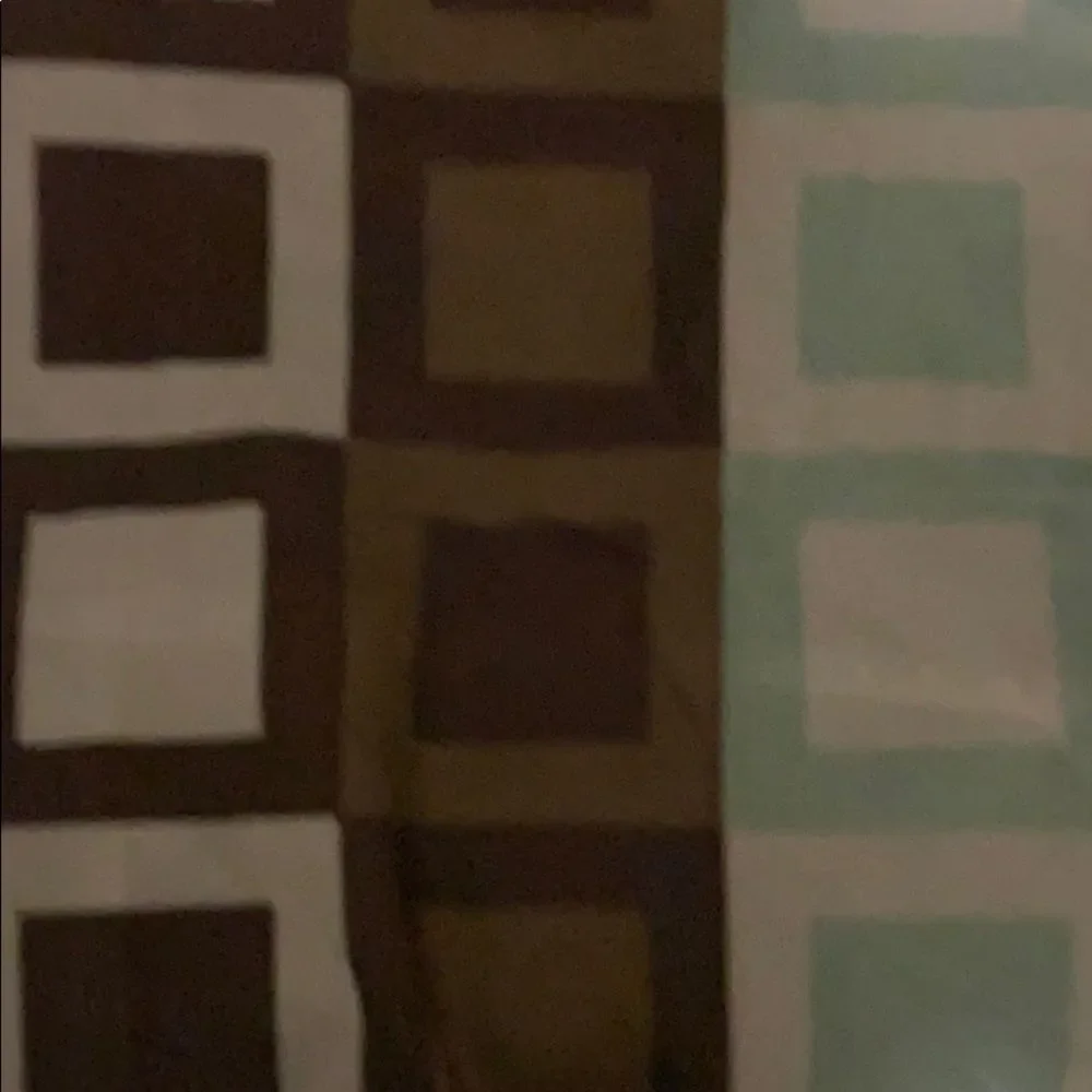 Shower curtain